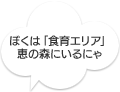 ぼくは「食育エリア」にいるにゃ。